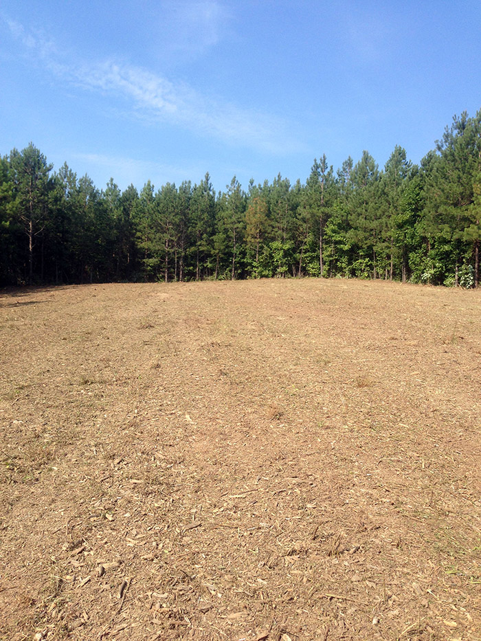 Building Lot Preperation Before