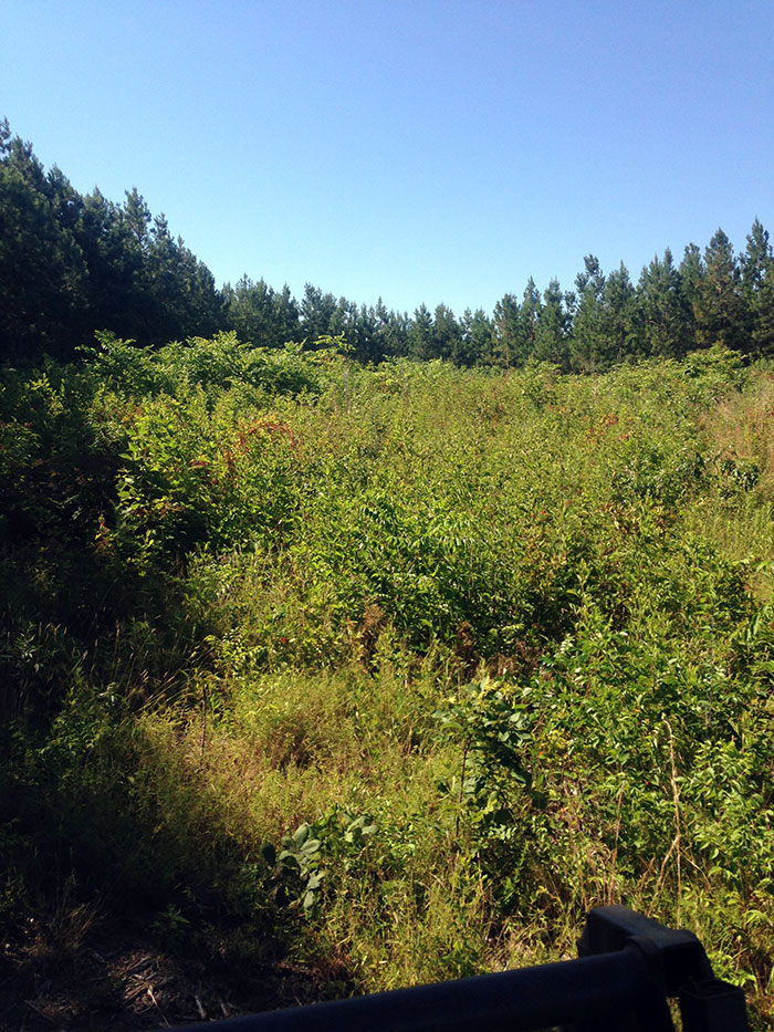  Build Lot Preperation After