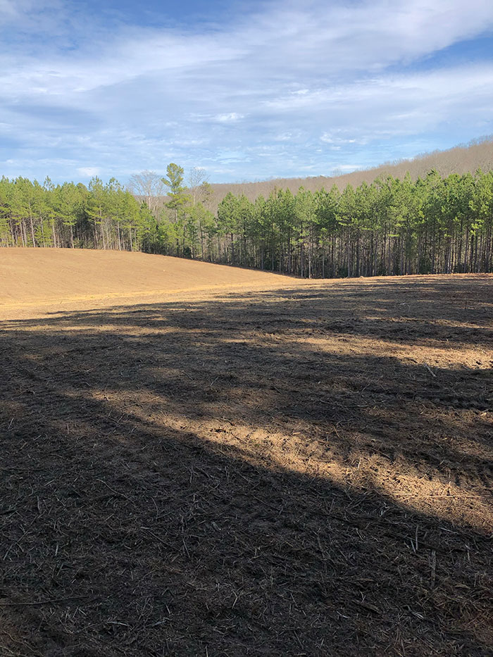 Mountain Property After